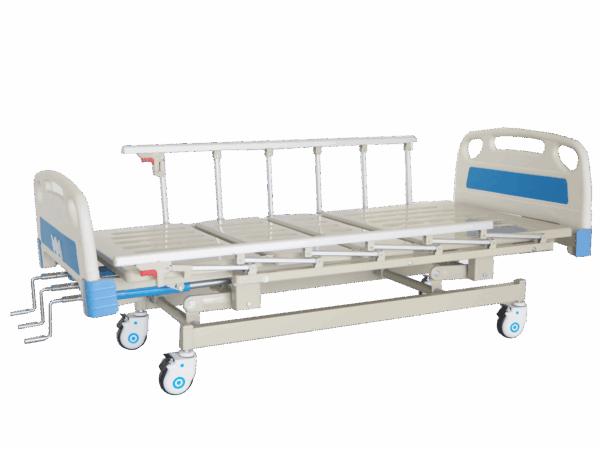 Bm011